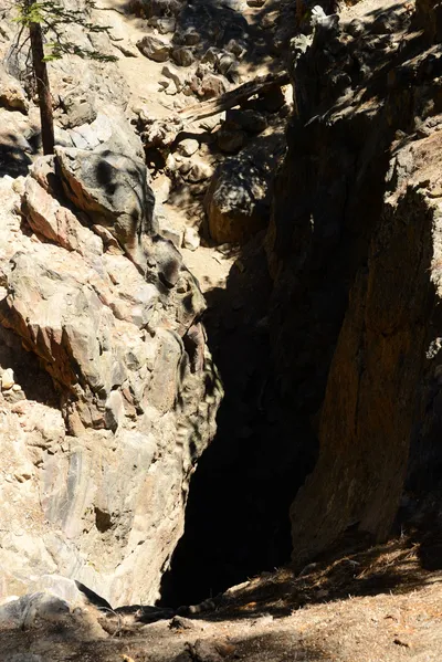 DSC_9977 (Large).JPG